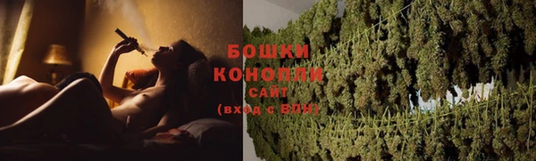 PSILOCYBIN Елизово