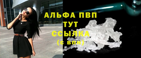 молекула духа Заволжье
