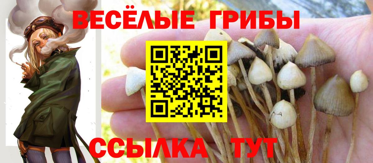 Галлюциногенные грибы MAGIC MUSHROOMS  Псилоцибиновые грибы мухоморы  хочу   Советский  Вход с VPN 